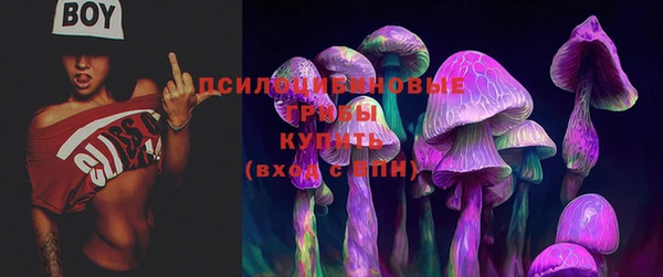 бутират Аркадак